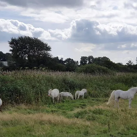 Feriehus Scenic Retreat With Fishing - By Traum