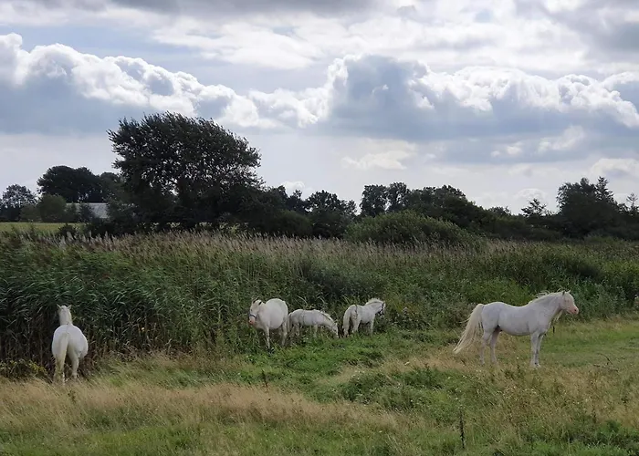 بيت للعطل Scenic Retreat With Fishing - By Traum